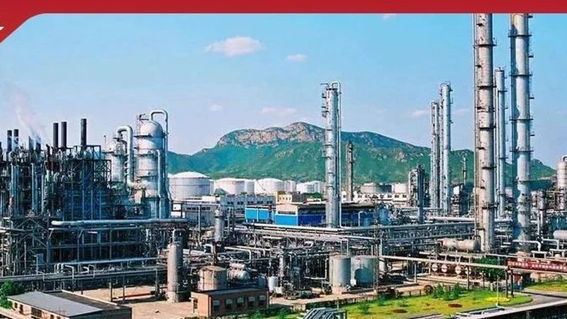天然防腐剂与化学防腐剂：使用方法大揭秘**