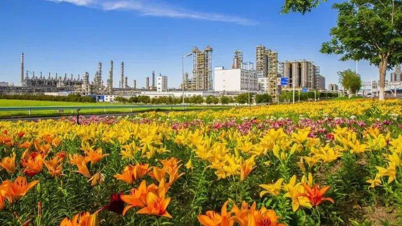 广东工程塑料回收价震荡背后：谁在影响这盘棋